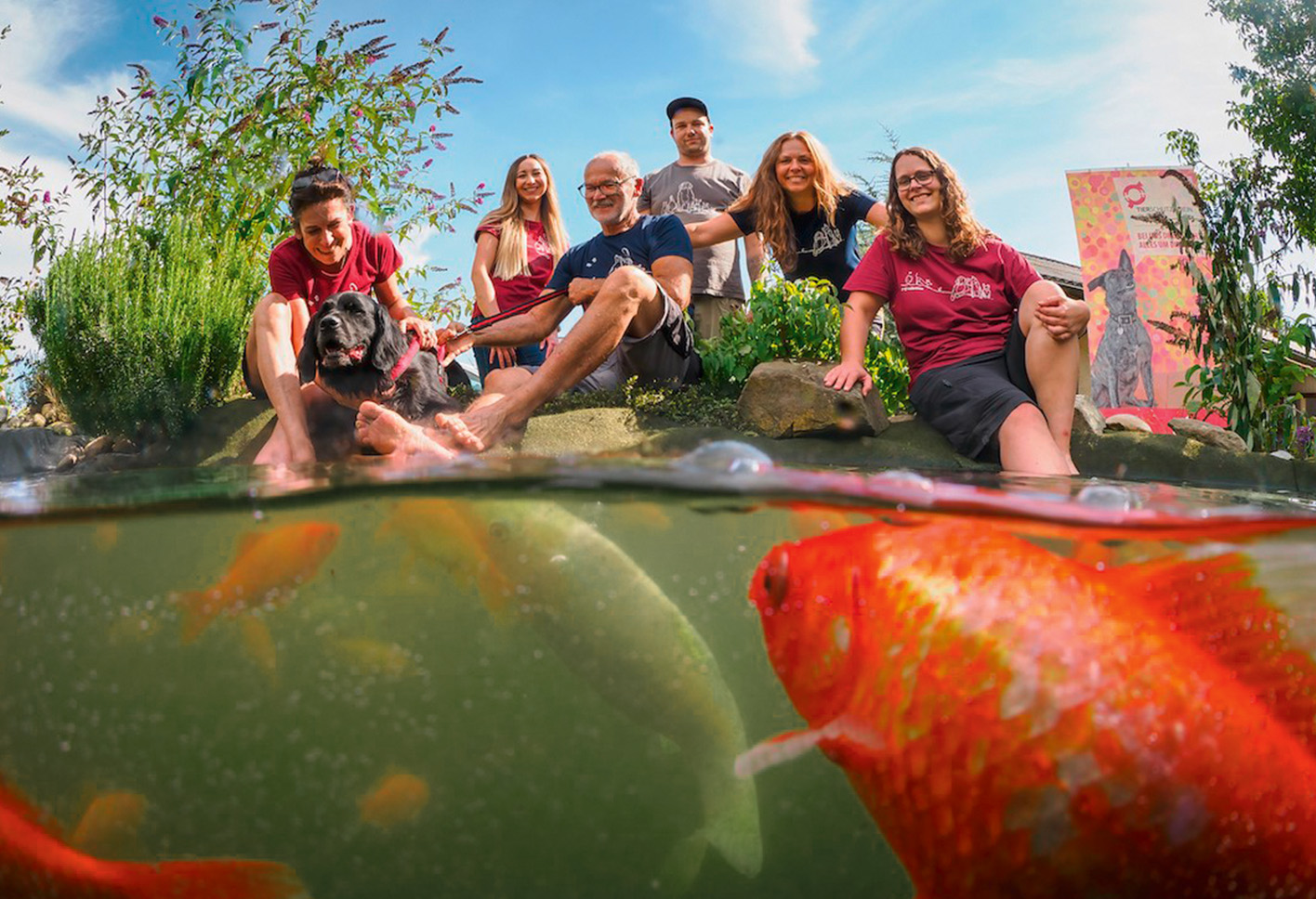 Spenden für Tierheim St. Pölten